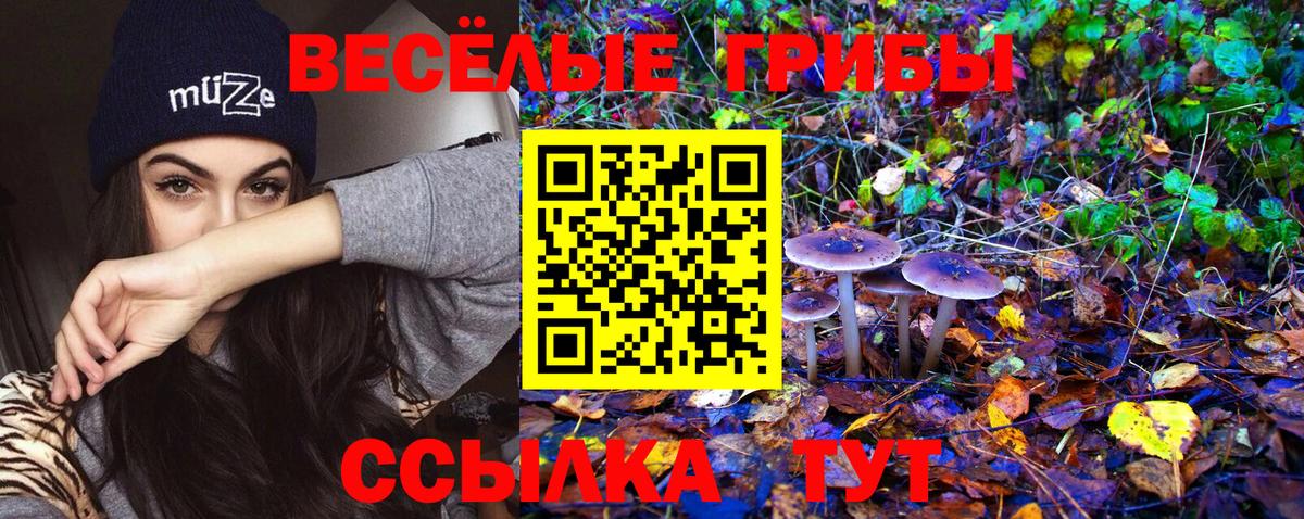 Галлюциногенные грибы прущие грибы Югорск